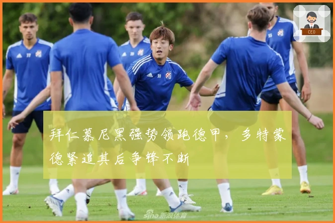 拜仁慕尼黑强势领跑德甲，多特蒙德紧追其后争锋不断